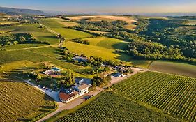 Hilltop Borbirtok&Étterem