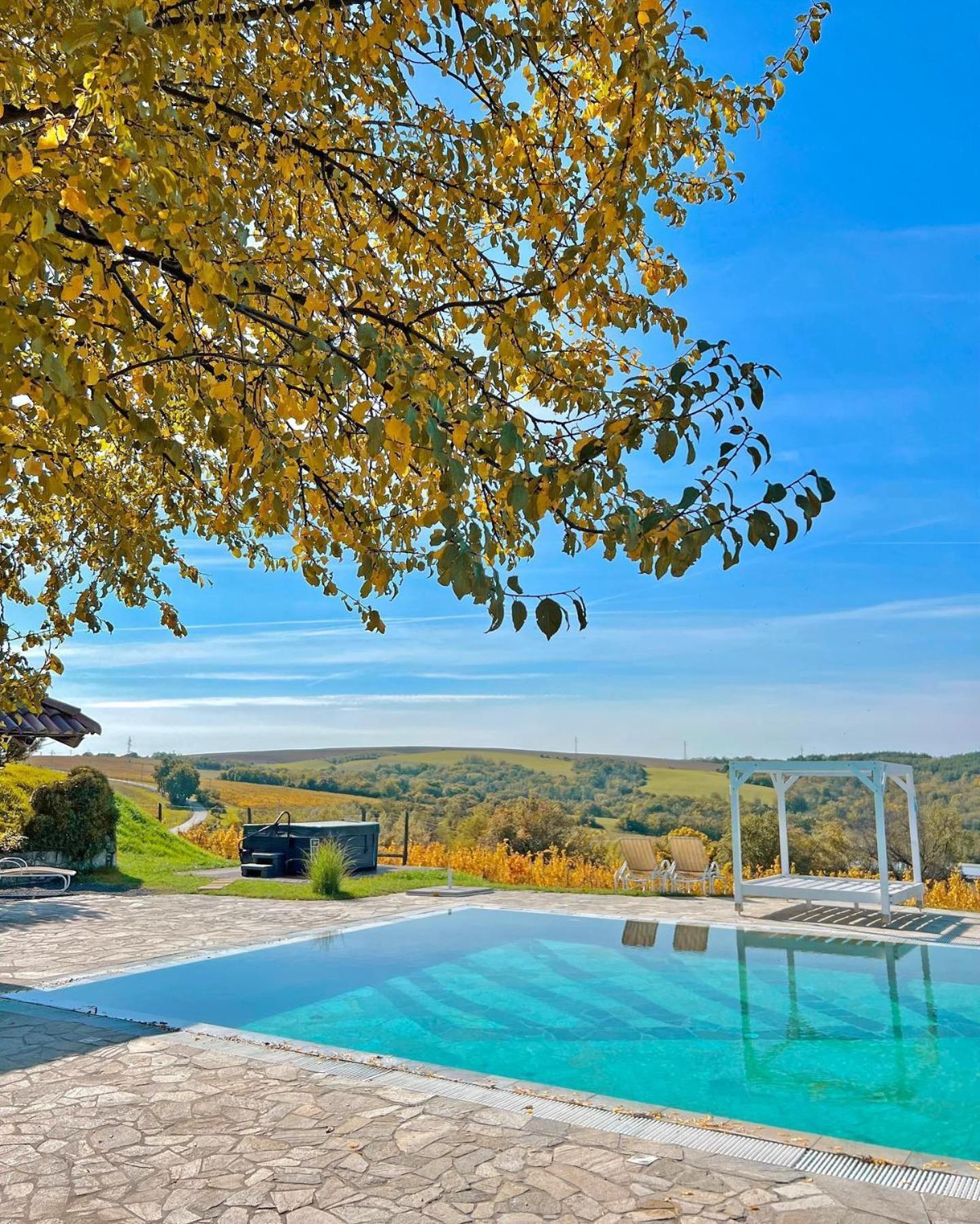 Hotel Hilltop Borbirtok&Étterem Neszmély Exterior foto